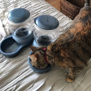 Petmate Gravity Feeder